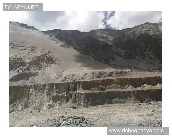 深度探讨周秀英在CSGO中的成长与挑战之路