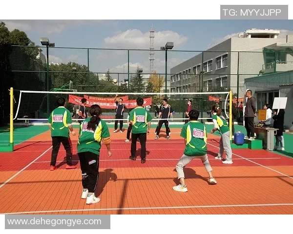 重庆排球队的团队协作与战术配合研究及其对比赛成绩的影响分析